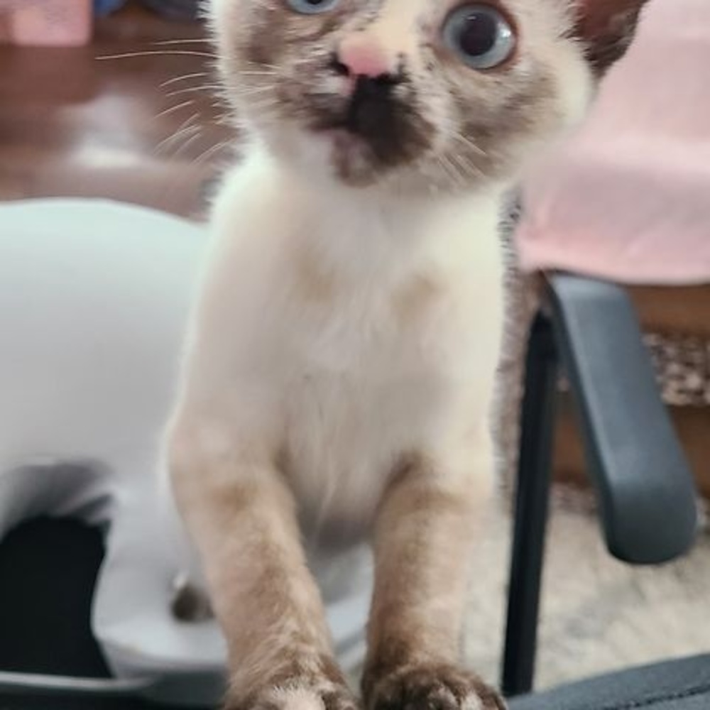 Meet your Posher, Sarah